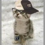 funkykitty