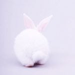 Cruelty-free makeup brands to try out