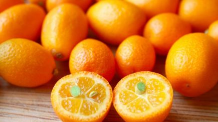 kumquat, fruit, smoothie, recipe, nutrition, cooking, healthy, fruit, vodka, vitamins, garden,