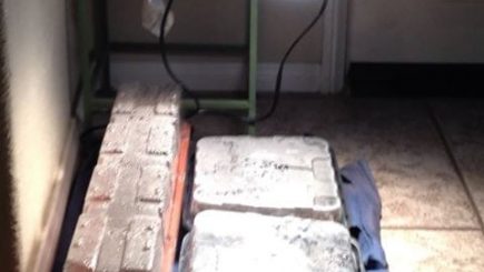 Home Depot, gardening, growing vegetables, indoor, health, eating, cooking, recipes, organic, family, recipes, benefits, winter gardening,