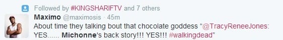 michonne, danai gurira, walking dead, actress, AME, television, katana sword, twitter, instagram, facebook, zombies, fans, interview