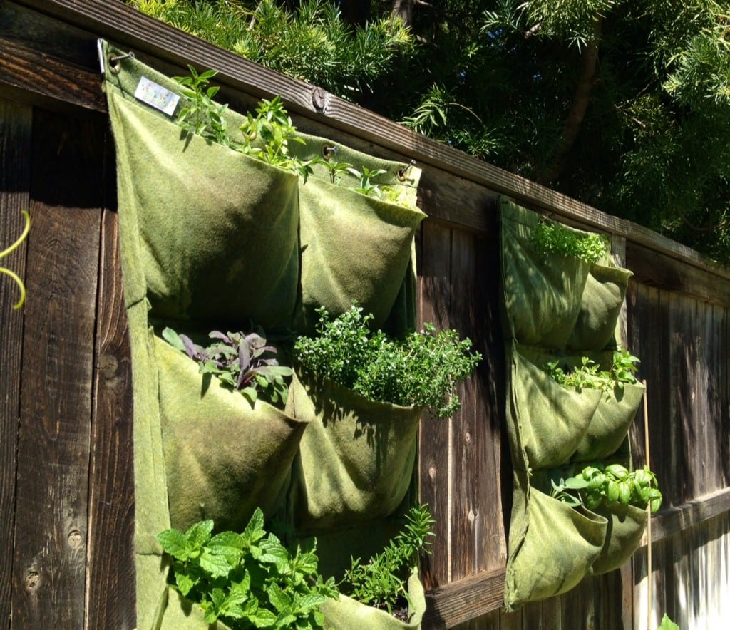 health, food, pocket garden, nutrition, gardening, vegetables, organic, DIY, home, dining,