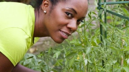 CLINICAL Innovative Skincare Extreme Protect, health, skin care, beauty, black skin, looking younger, good black don't crack, youth, health, nutrition, wellness, organic garden, Vitamix, video, books, herbs, Paleo, greens, kale, chard, fruits, stress free,