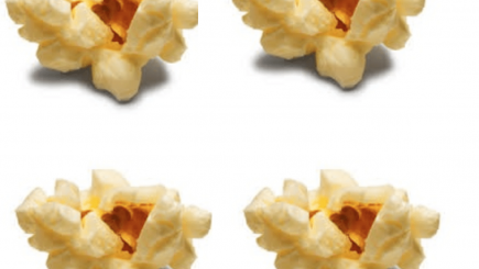 Solange, Jay-Z, gossip, entertainment, poor behavior, Hollywood, perception, news, black women misbehavin, Solange, Jay-Z, gossip, entertainment, poor behavior, Hollywood, perception, news, black women misbehavin,