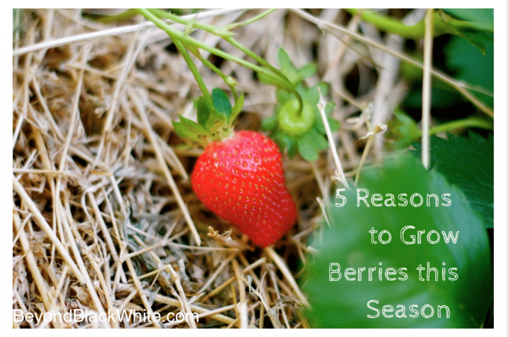 Screen Shot 2014-05-26 at 11.04.49 PM