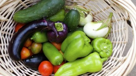 recipes, cooking, gardening, ideas, entertaining, meals, healthy, food, nutrition, DIY, urban gardening, harvest, veggies, fruits, organic,