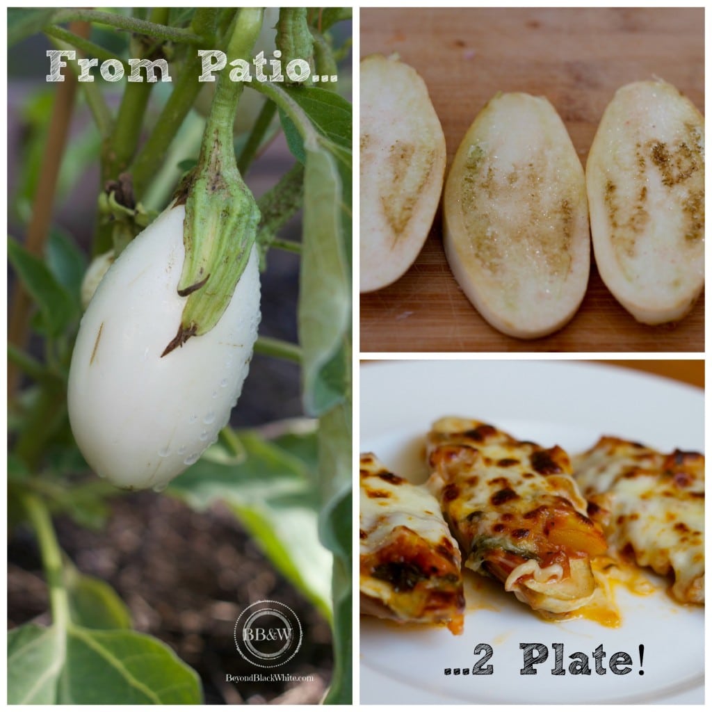 P2p collage eggplant