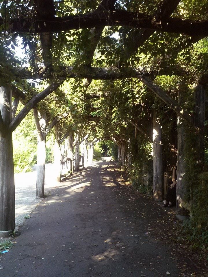 tracyreneejones, dating, Brooklyn, New York, pets, companionship, mating, flirting, black women, non black men, finding love, trying to get a date, marriage, loneliness, culture, society, breaking the ice, facebook, camera, prospect park, exercise, wellness, advice, ,