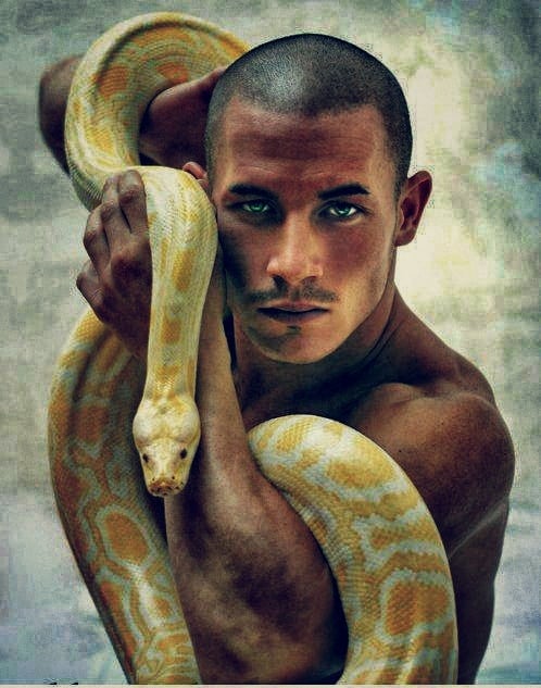 bcf14ece09b064dad3350eb88f1c6433