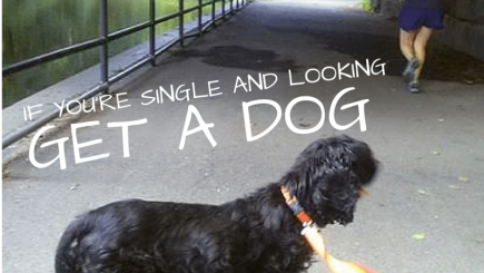 tracyreneejones, dating, Brooklyn, New York, pets, companionship, mating, flirting, black women, non black men, finding love, trying to get a date, marriage, loneliness, culture, society, breaking the ice, facebook, camera, prospect park, exercise, wellness, advice, ,