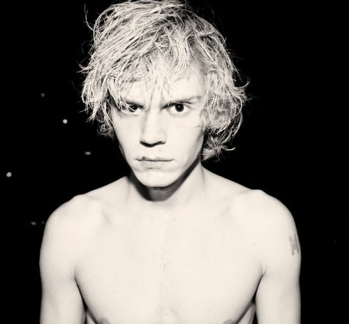 evan-evan-thomas-peters-27631122-500-464