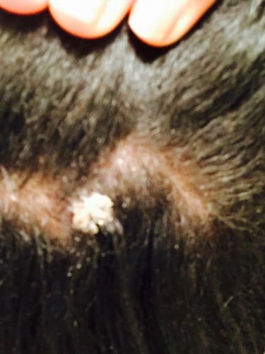 11146068_10152978282564877_64487737_n