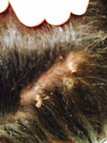 11156750_10152978282574877_1606969402_n-1