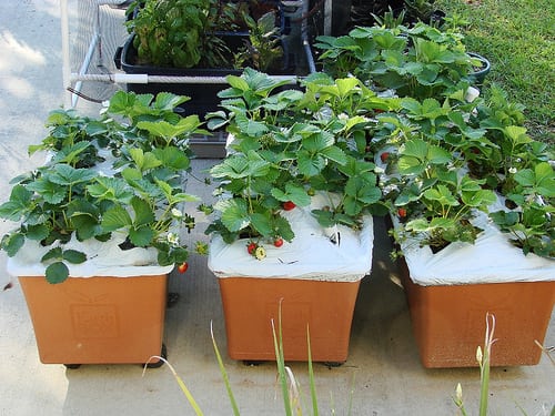 3471838606_a7eef9597d