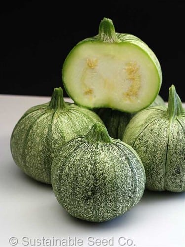 e667abcdc24bec6a5ae57b785f10aabb