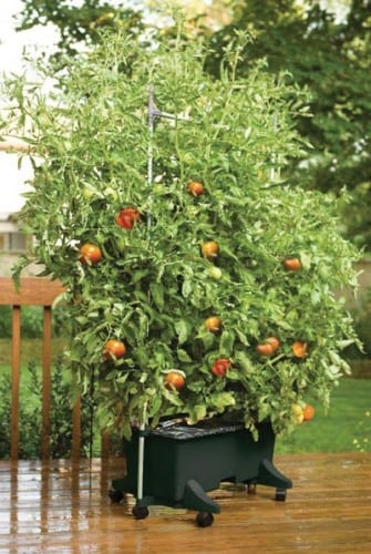 This self-watering planter recently received the Member Tested and Recommended Seal of Approval from the National Home Gardening Club. The club consists of 400,000 gardeners who have the opportunity to test and rate gardening products. Both the EarthBox and EarthBox Junior gardening systems were top-rated for convenience, ease of use, quality and design. (PRNewsFoto/EarthBox)