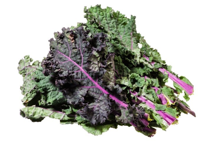 Fresh green kale leaves isolated on white