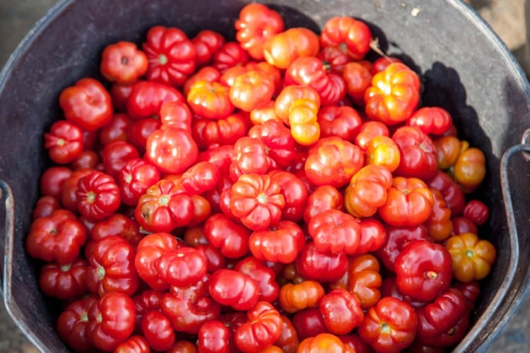 iStock_000041785146_Small