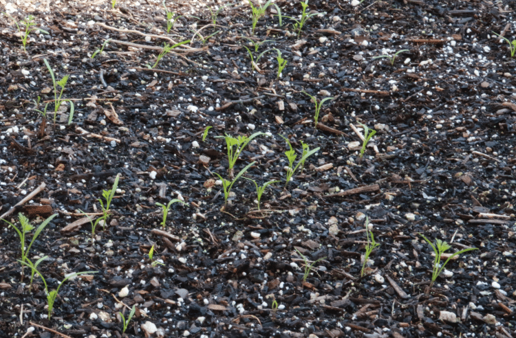 screen-shot-2016-10-19-at-7-09-50-pm